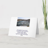 ウィンター ホワイト ウォーター カード (裏面)