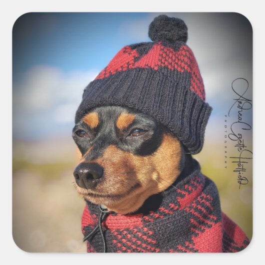 ウィンター・ミニピン スクエアシール (正面)