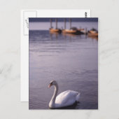 ウィンダミア湖 ポストカード (正面/裏面)