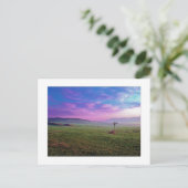 「ウィンチェスター・ウィンドミル」 ポストカード (スタンド正面)