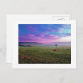 「ウィンチェスター・ウィンドミル」 ポストカード (正面/裏面)