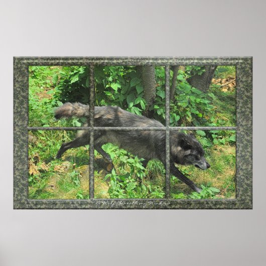 ウィンドアートポスターを通した灰色の狼 ポスター (正面)