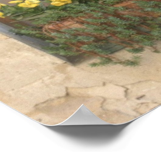 ウィンドイタリアンウ ポスター (角)