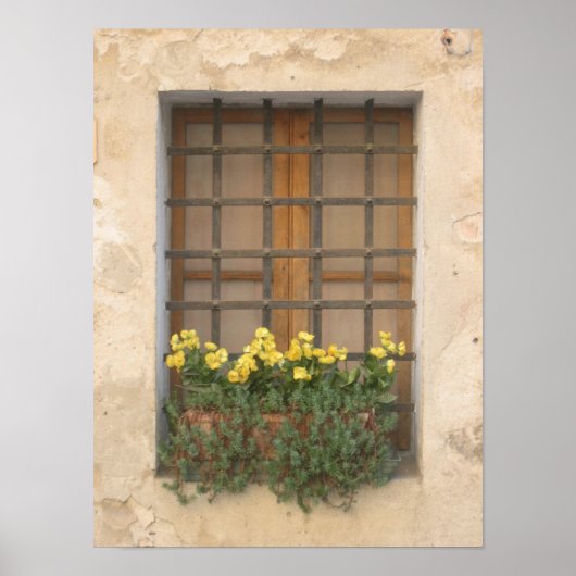 ウィンドイタリアンウ ポスター (正面)