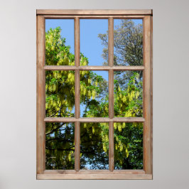 ウィンドウからの開花式Laburnumツリー表示 ポスター