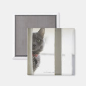 ウィンドウで移動 マグネット (正面/裏面)