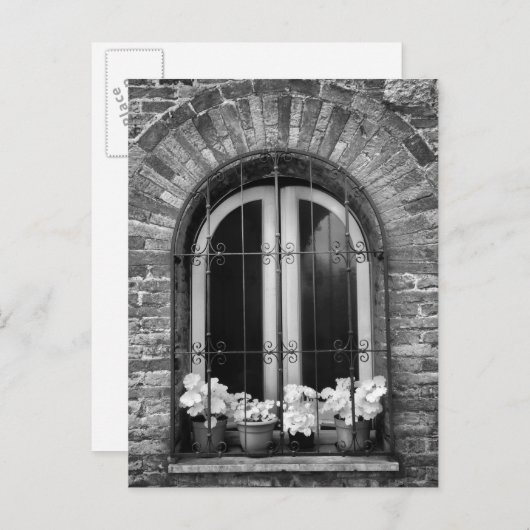 ウィンドウと花のポットの白黒ビュー ポストカード (正面/裏面)