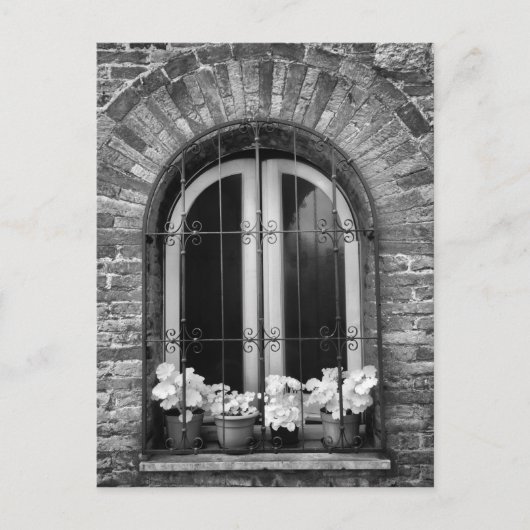 ウィンドウと花のポットの白黒ビュー ポストカード (正面)