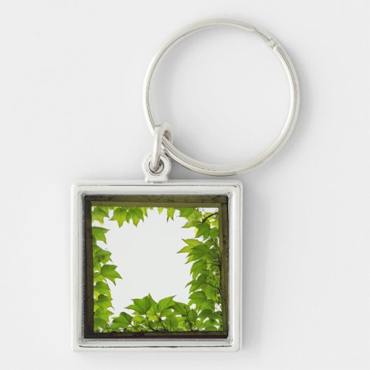 ウィンドウのキーチェーン キーホルダー (正面)