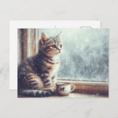 ウィンドウの子猫 ポストカード (正面/裏面)