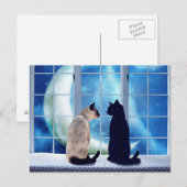 ウィンドウの猫 ポストカード (正面/裏面)