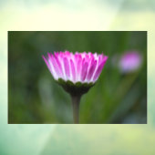 ウィンドウクリング - デイジーの写真 ウィンドウサイン (シート3)
