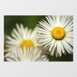 ウィンドウクリング - デイジーの花 フローラルフォトグラフィー ウィンドウサイン