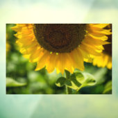 ウィンドウクリング - ヒマワリの花の写真 ウィンドウサイン (シート3)