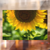ウィンドウクリング - ヒマワリの花の写真 ウィンドウサイン (シート2)