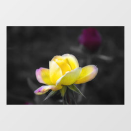 ウィンドウクリング - 黄色いバラの写真 ウィンドウサイン