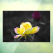ウィンドウクリング - 黄色いバラの写真 ウィンドウサイン (シート3)