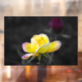 ウィンドウクリング - 黄色いバラの写真 ウィンドウサイン (シート2)