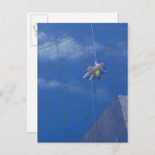 ウィンドウクリーナー1990 ポストカード (正面/裏面)