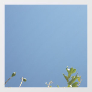 ウィンドウサイン