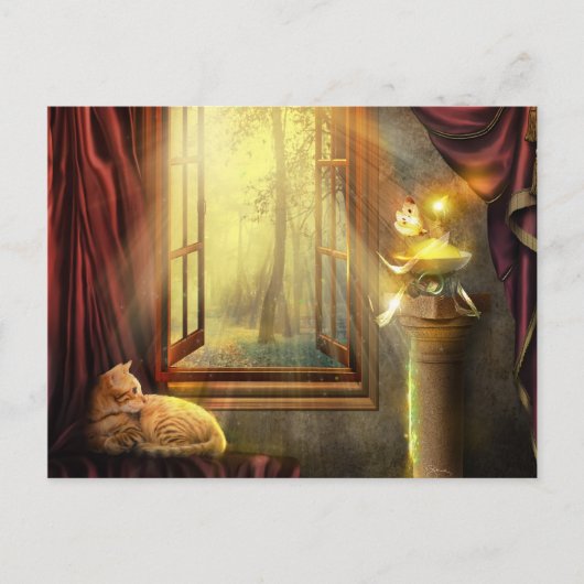 ウィンドウショッピングはがき ポストカード (正面)