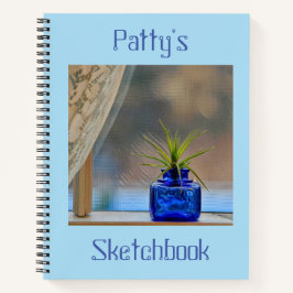 ウィンドウスケッチブック内のエアプラント ノートブック
