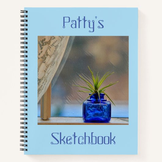 ウィンドウスケッチブック内のエアプラント ノートブック (正面)