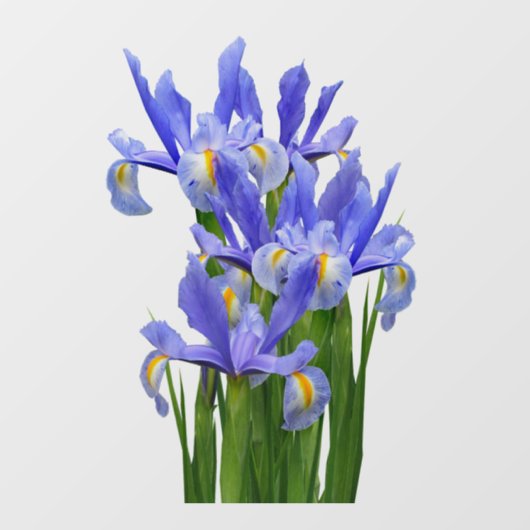 ウィンドウデカール2 – フロントステッチ – サイズを選択 ウィンドウサイン (シート)