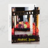 ウィンドウフルーツマーケット – マドリード,スペイン ポストカード (正面/裏面)