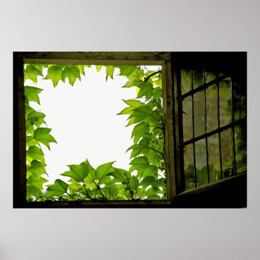 ウィンドウポスター ポスター (正面)