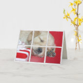 ウィンドウ内のゴールデンレトリバーをプレゼントと一緒に眠る カード (黄色い花)