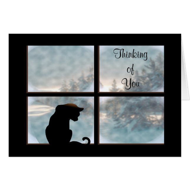 ウィンドウ内のネコ (正面横)