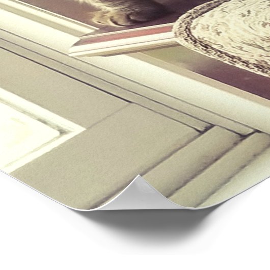 ウィンドウ内のネコ ポスター (角)