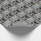 ウィンドウ内の大きなバック ラッピングペーパー (角)