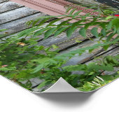 ウィンドウ内の悲鳴 ポスター (角)