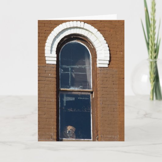 ウィンドウ内の犬 カード (正面)