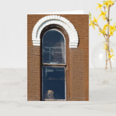 ウィンドウ内の犬 カード (黄色い花)