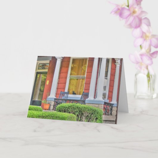 ウィンドウ内の猫 カード (蘭)