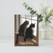 ウィンドウ内の猫 ポストカード (スタンド正面)