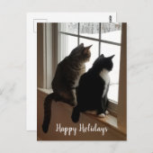 ウィンドウ内の猫 ポストカード (正面/裏面)