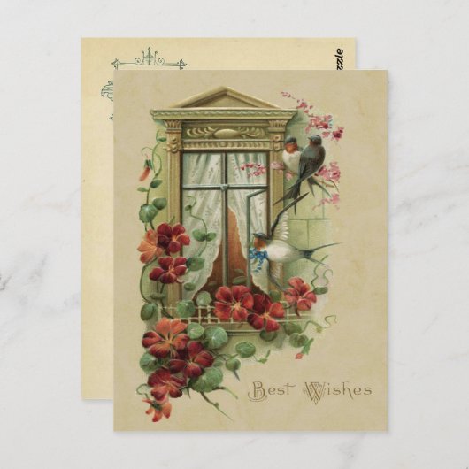 ウィンドウ内の鳥が最高のヴィンテージの再生を希望 ポストカード (正面/裏面)