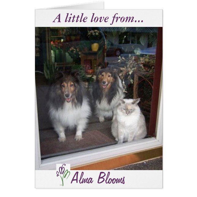 ウィンドウ表示 (正面)