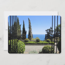 ウィンドウ表示