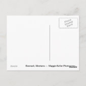 ウィンドウ表示 ポストカード (裏面)