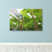 ウィンドウ キャンバスプリント (インサイチュ (ウッドフロア))