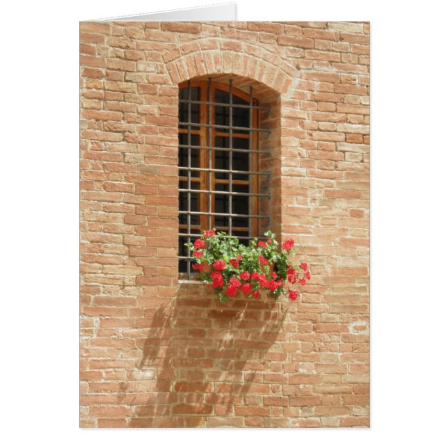 ウィンドウ・ボックス (正面)