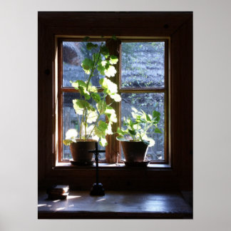 ウィンドウ ポスター