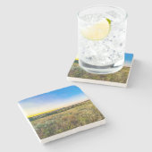 ウィンドケーブナショナルパークコースター ストーンコースター (横)