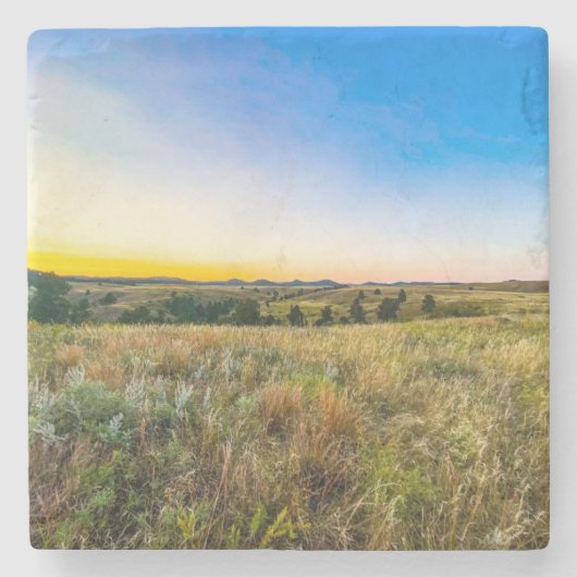 ウィンドケーブナショナルパークコースター ストーンコースター (正面)