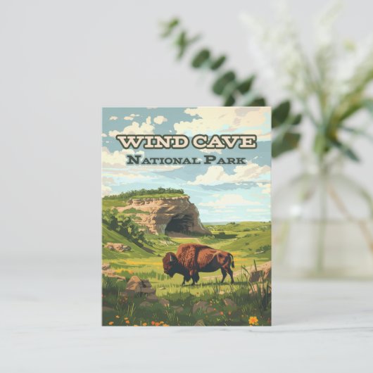 ウィンドケーブナショナルパークバイソンサウスダコタカード (スタンド正面)